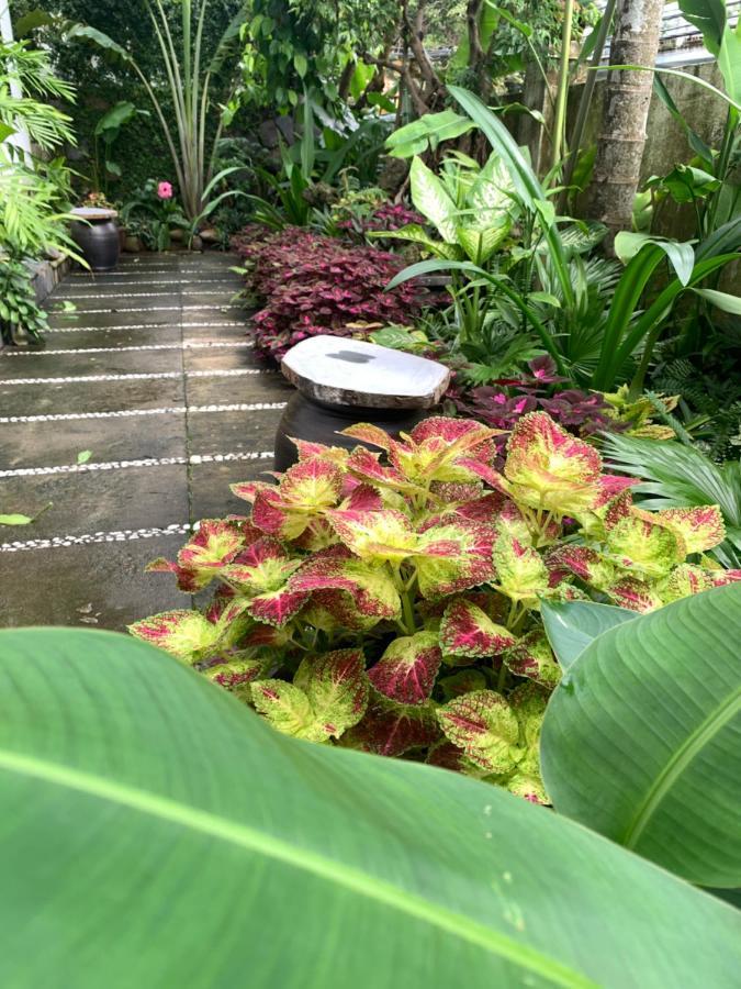 Апартаменты Hoi An Sunny Garden Экстерьер фото