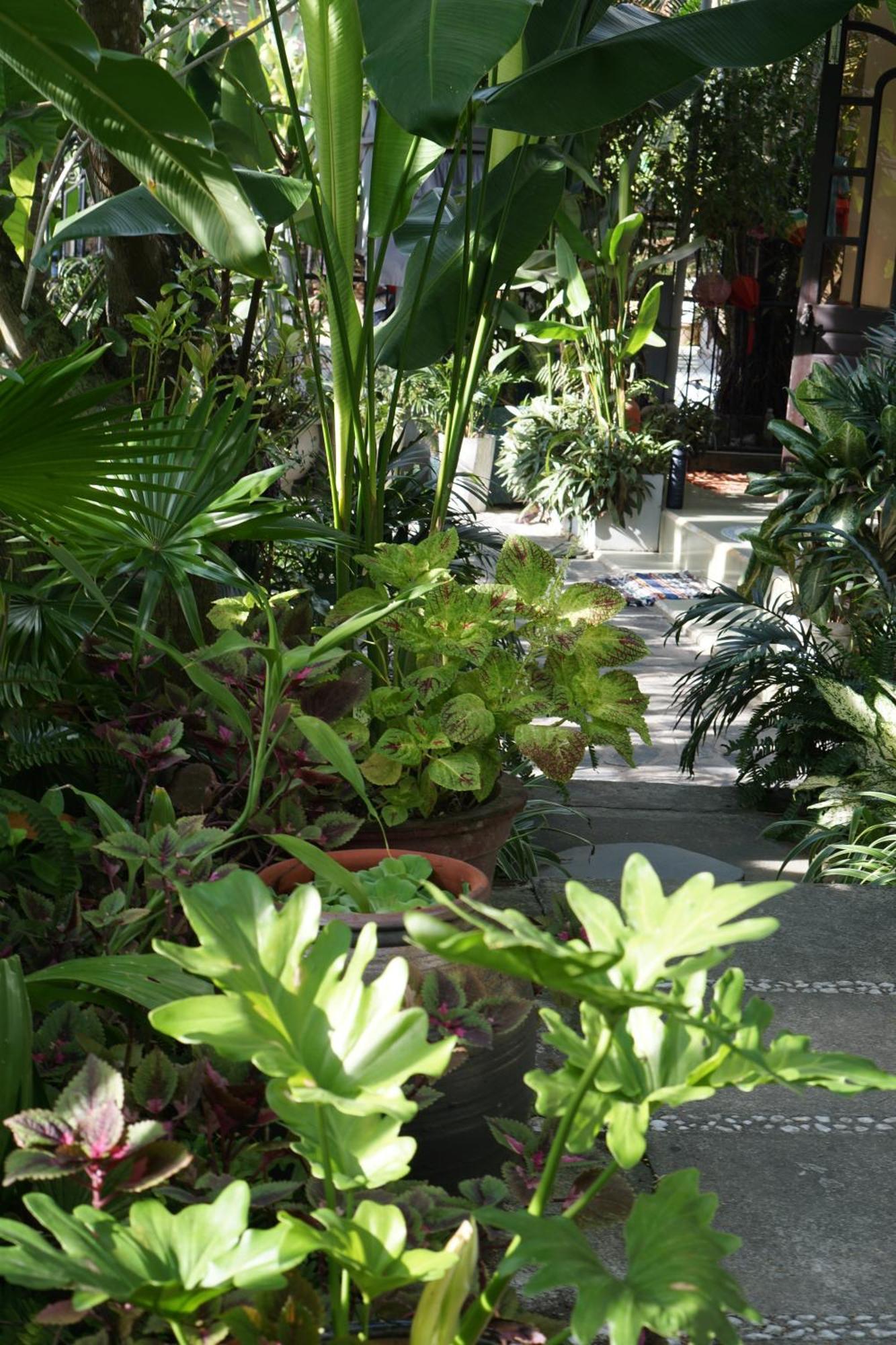 Апартаменты Hoi An Sunny Garden Экстерьер фото