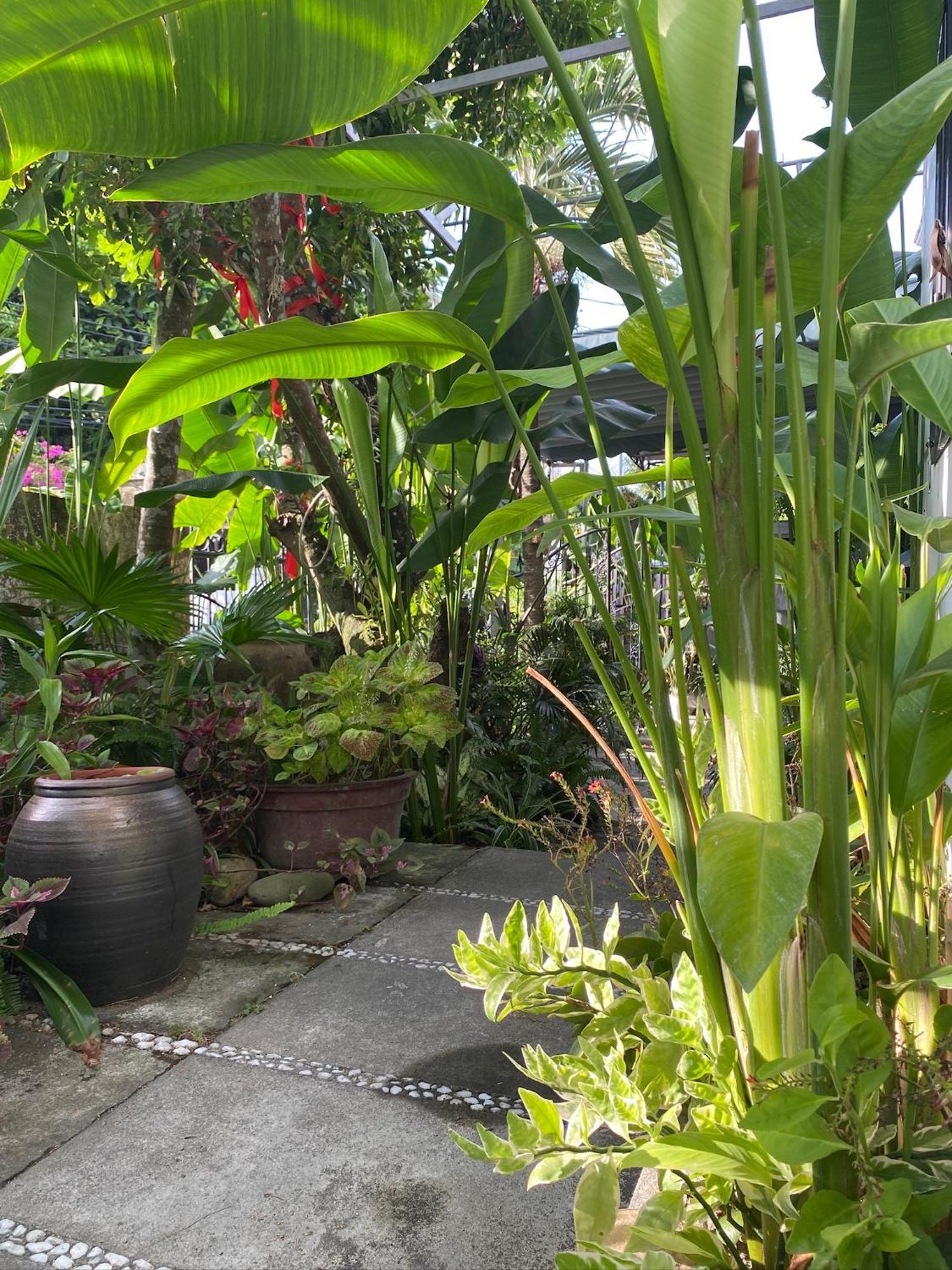 Апартаменты Hoi An Sunny Garden Экстерьер фото
