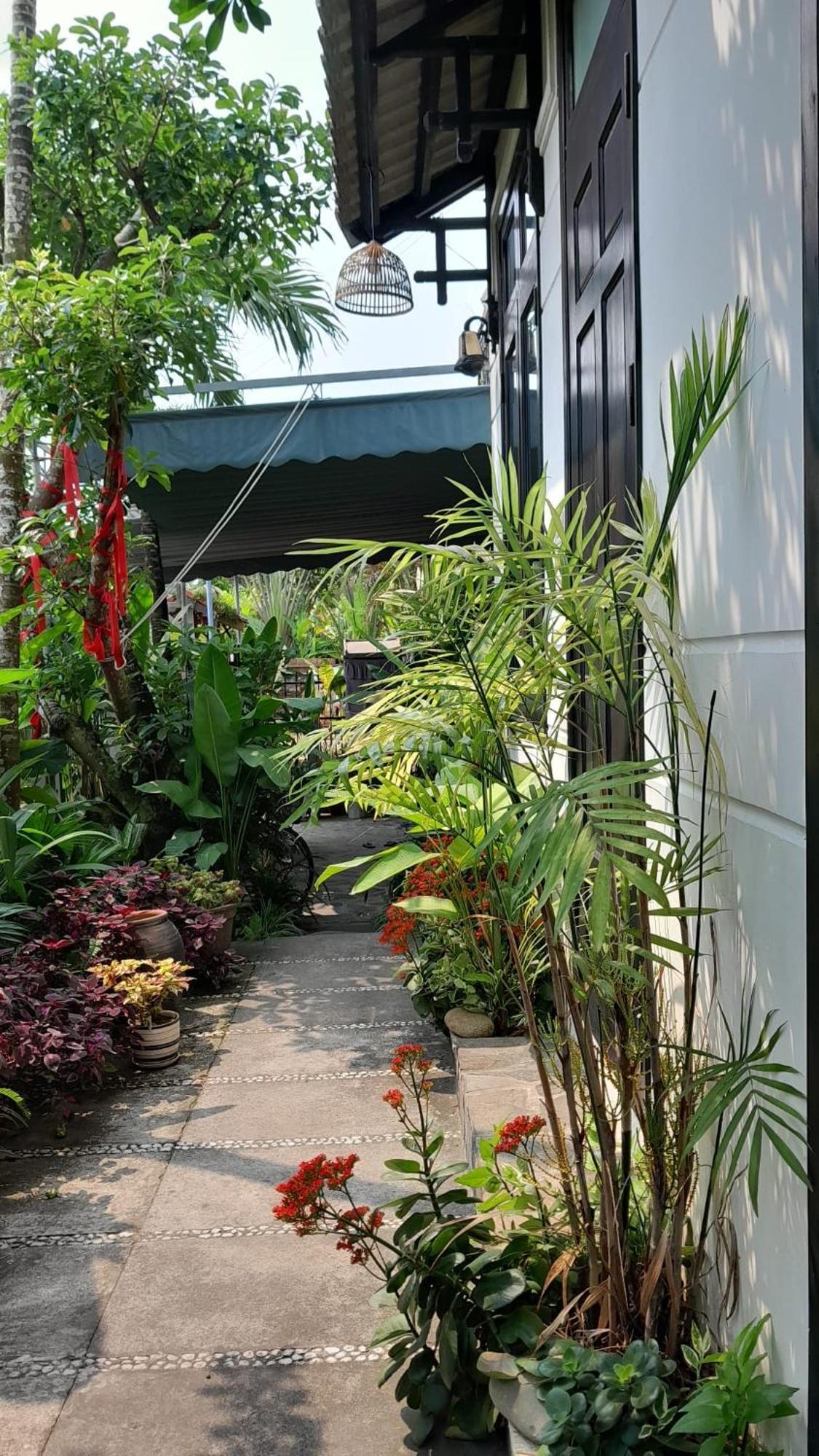 Апартаменты Hoi An Sunny Garden Экстерьер фото